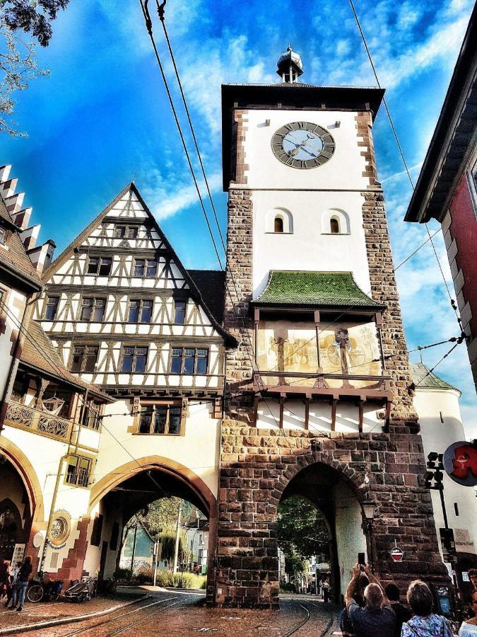 Historical Luxury Homes - Stadtvilla Mit Jacuzzi Und Garten Freiburg im Breisgau Eksteriør billede