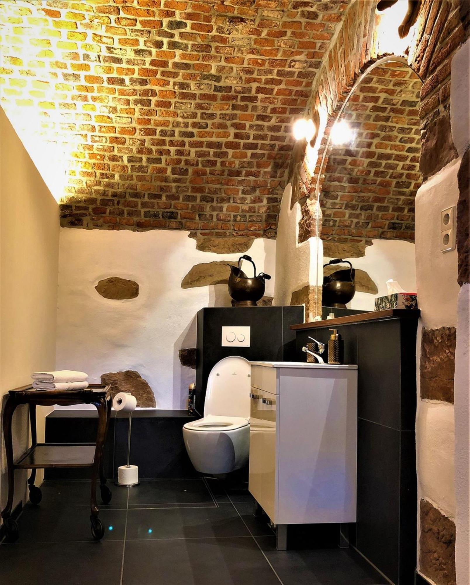 Historical Luxury Homes - Stadtvilla Mit Jacuzzi Und Garten Freiburg im Breisgau Eksteriør billede