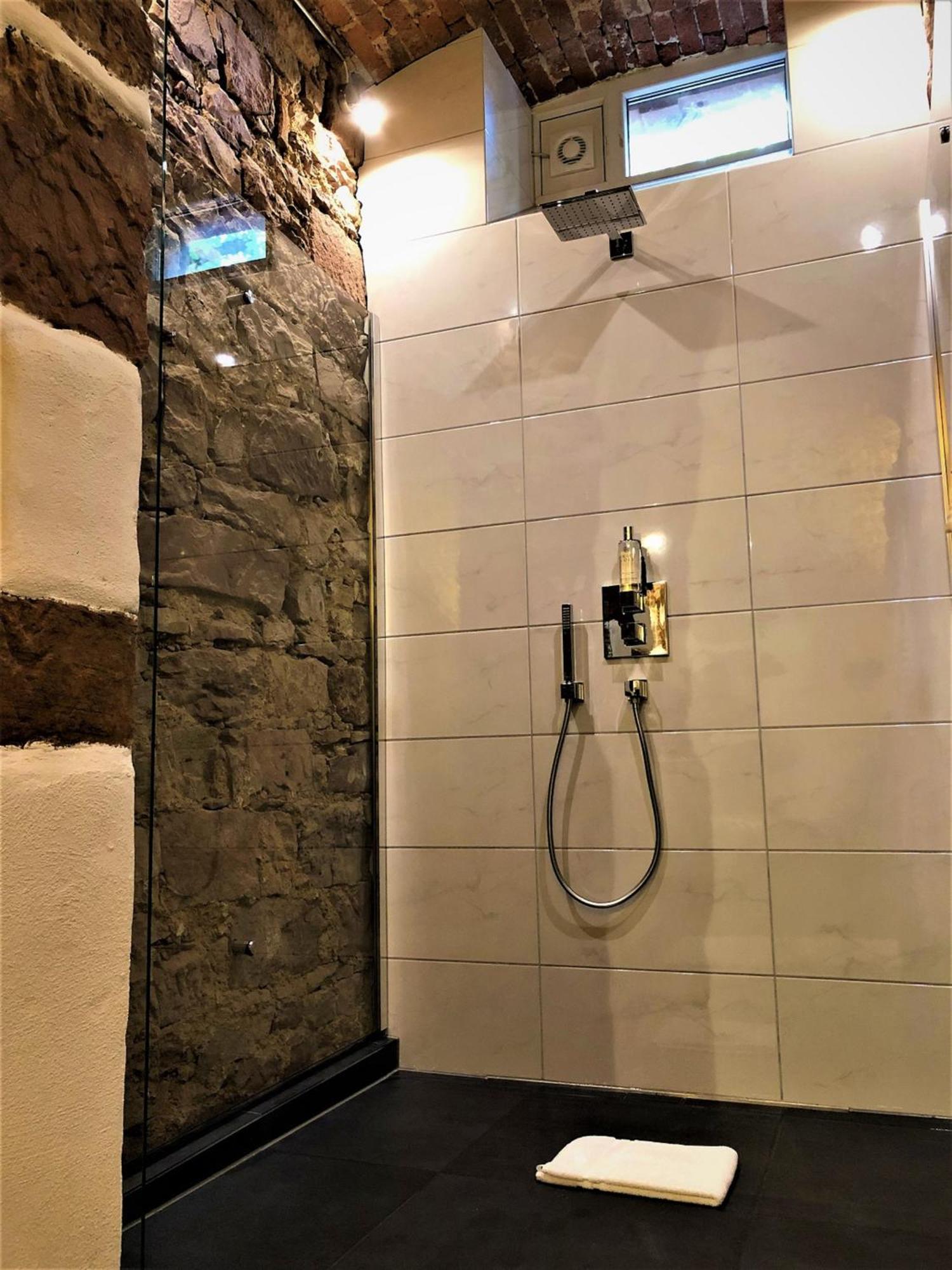 Historical Luxury Homes - Stadtvilla Mit Jacuzzi Und Garten Freiburg im Breisgau Eksteriør billede